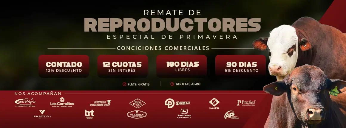 banner-remate-reproductores_especial_primavera